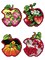 Apples - four seasons Counted cross stitch kit with plastic canvas